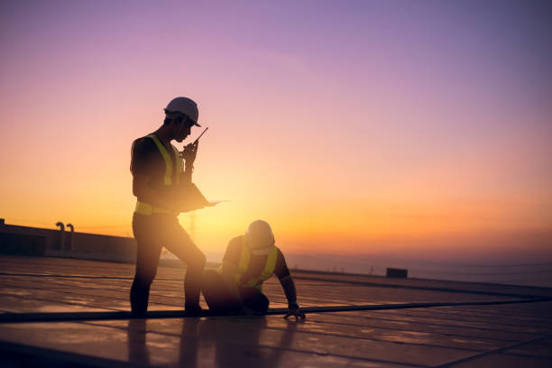 Best Roof Repair Services  in Janesville, MN