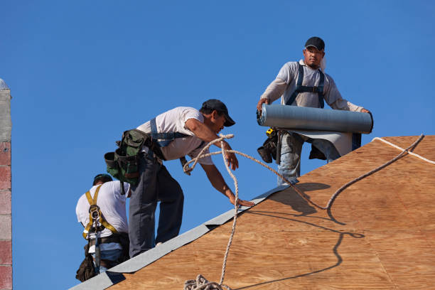Best Local Roofing Companies  in Janesville, MN
