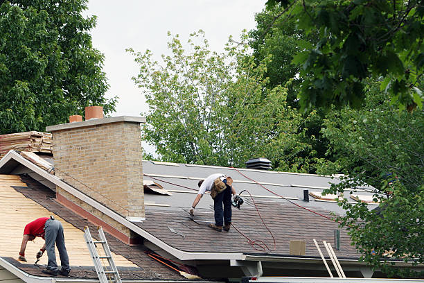 Best Storm Damage Roof Repair  in Janesville, MN