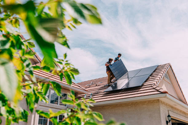 Best Roof Gutter Cleaning  in Janesville, MN