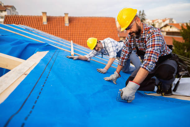 Roof Waterproofing Services in Janesville, MN