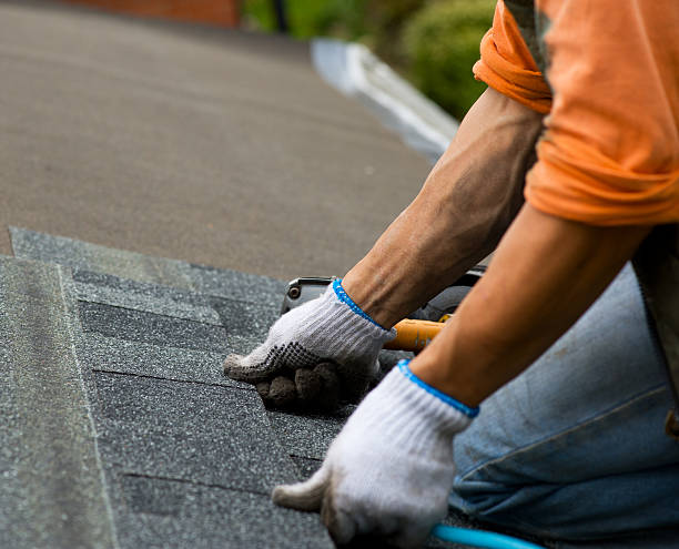 Best Shingle Roofing Installation  in Janesville, MN