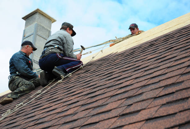 Roof Installation Near Me in Janesville, MN